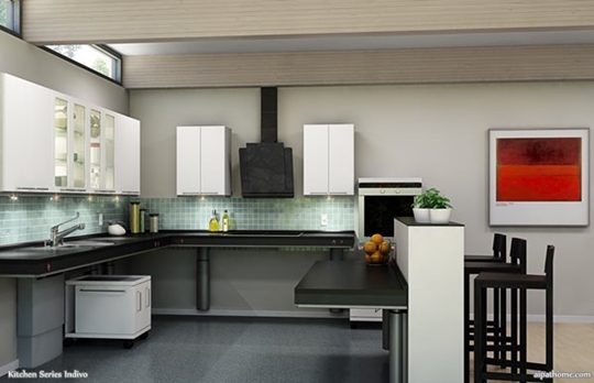 Indivo Kitchem featuring adjustable height counters.